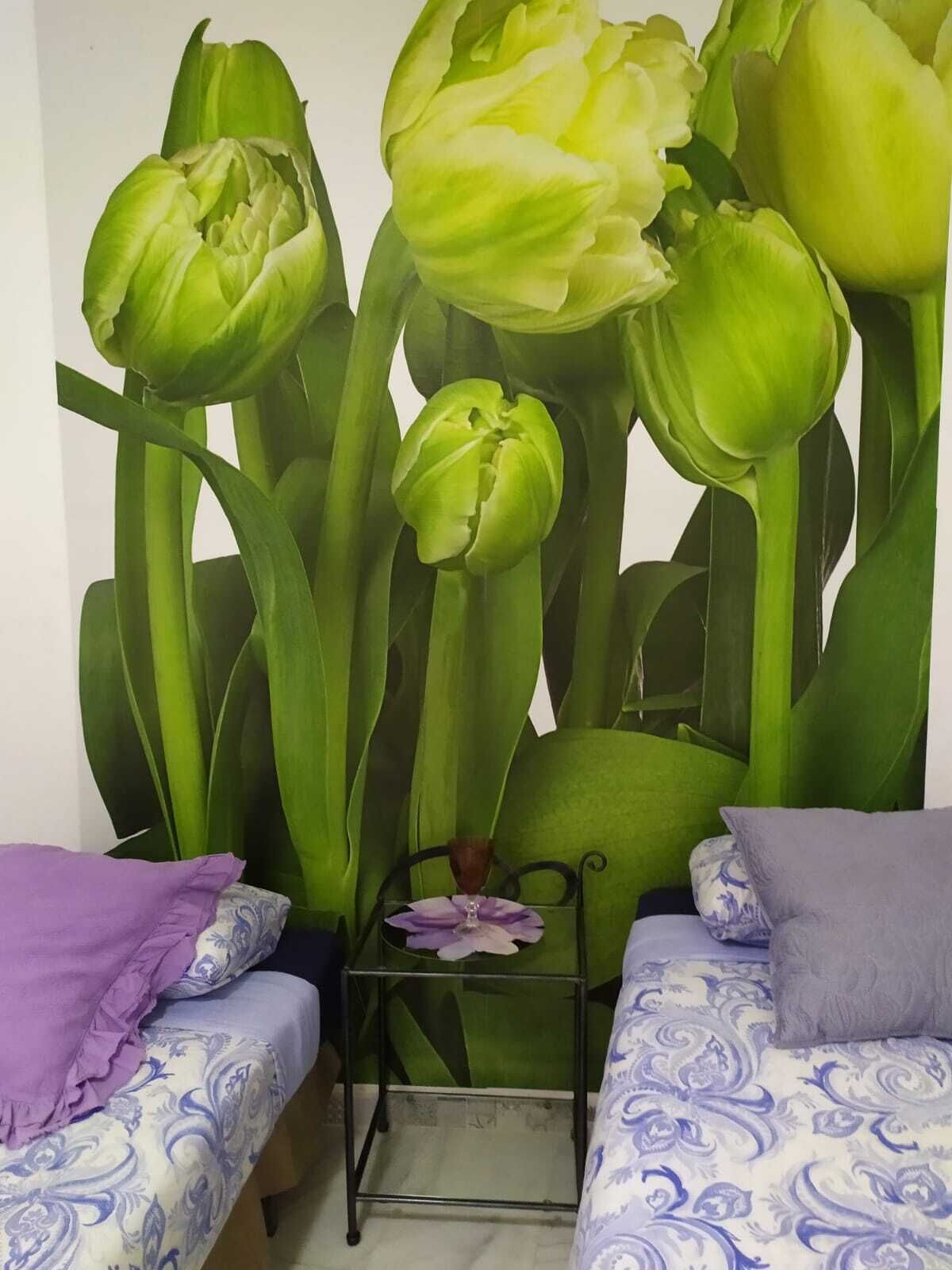 Foto - Málaga Centro Hostel