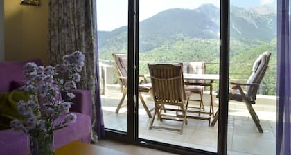 Forest Suites Boutique Hotel