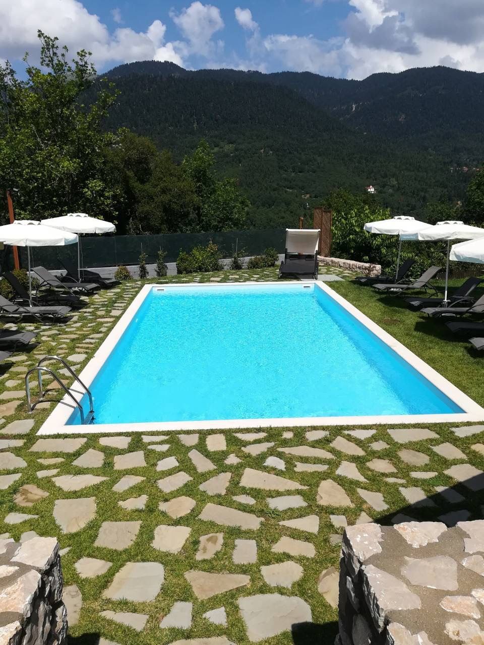Una piscina rectangular con superficie de agua azul cristalina, rodeada por un patio de piedra con diseño y equipada con una escalera.