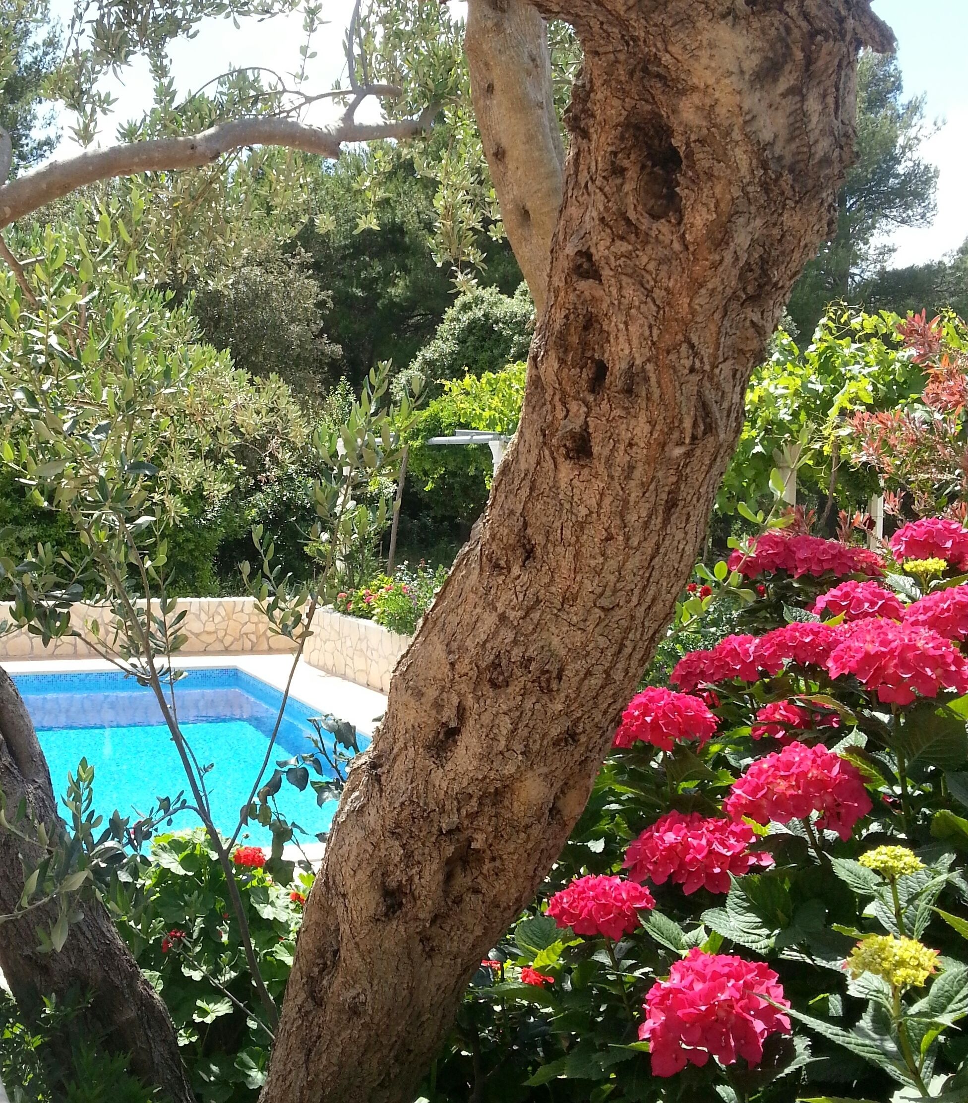 Apartment, 1 Bedroom, Ground Floor | Terrace/patio