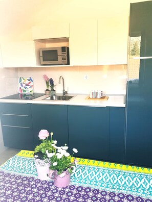 Apartamento, 2 habitaciones | Cocina privada | Frigorífico, placa de cocina, cafetera o tetera y hervidor eléctrico