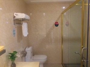 Un bagno con il water, un porta asciugamani e una cabina doccia in vetro.