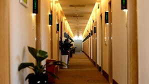 Un corridoio d'albergo con pavimento rivestito di moquette, piante in vaso e insegne illuminate alle pareti.