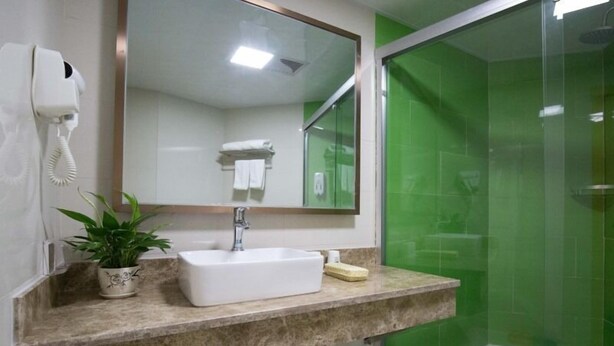 Un baño con lavamanos blanco, un espejo, una planta, toallero y cabina de ducha verde.