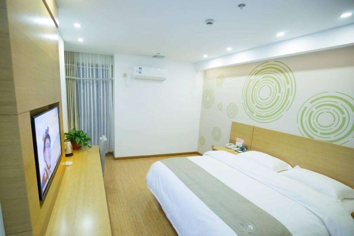 A hotel room with a bed, a TV on a wooden console, a potted plant, and a wall with circular patterns.