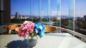 City view from property