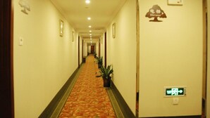 Ein Hotelgang mit Teppichboden, Blumentöpfen und einem Aufzugsschild an der rechten Wand.