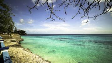 Une plage à l’eau turquoise et limpide, un rivage sablonneux et une vue sur l’océan.