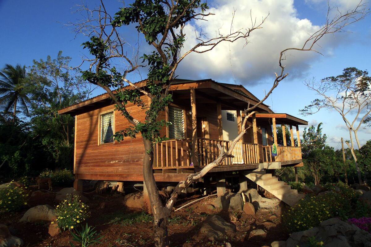 A wooden cabin with a porch, surrounded by trees and rocks.