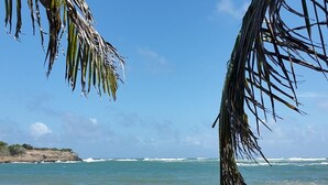 Une plage avec un ciel dégagé, des vagues calmes et une côte rocheuse.