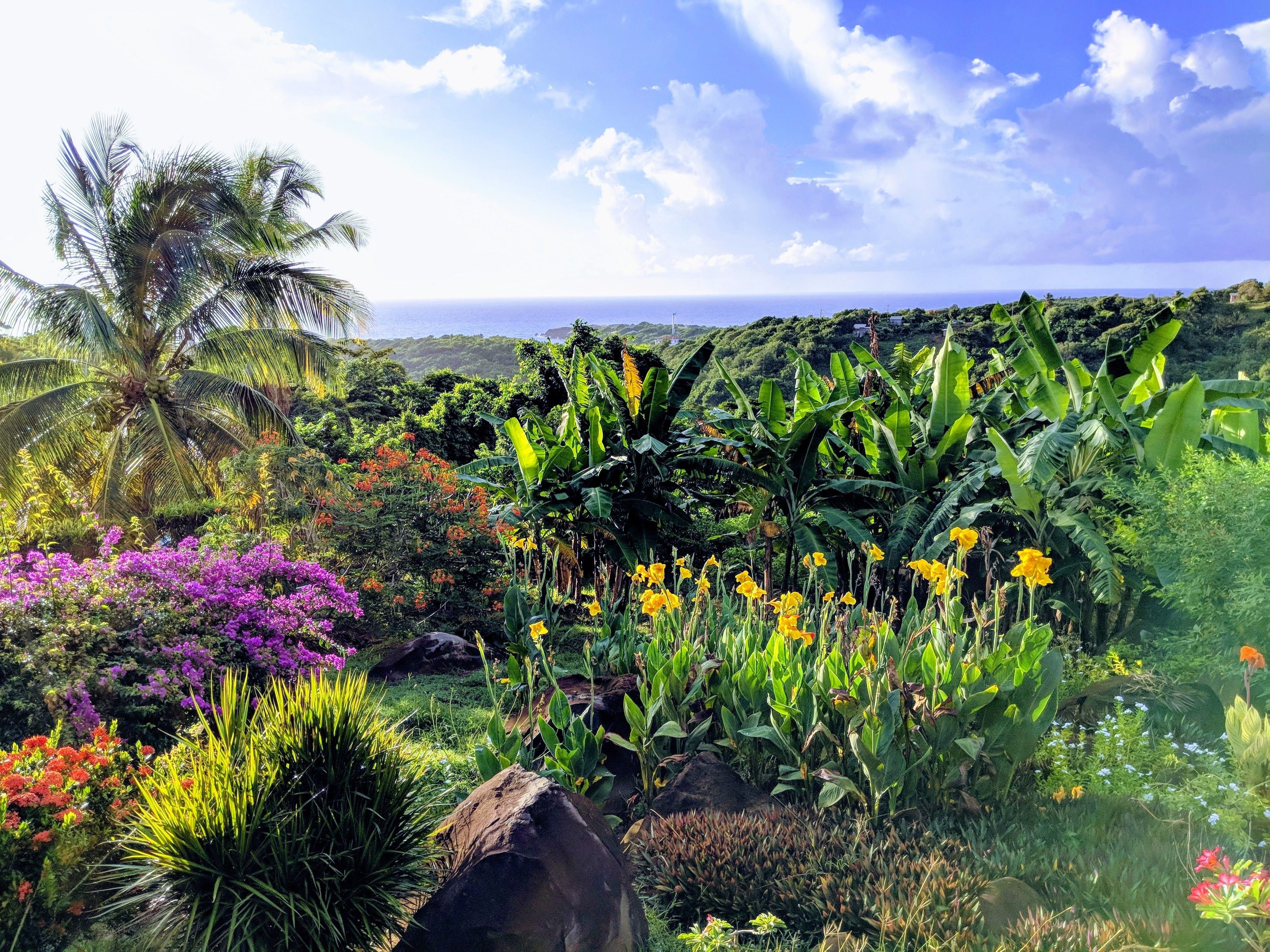 Foto - Big Sky Lodge