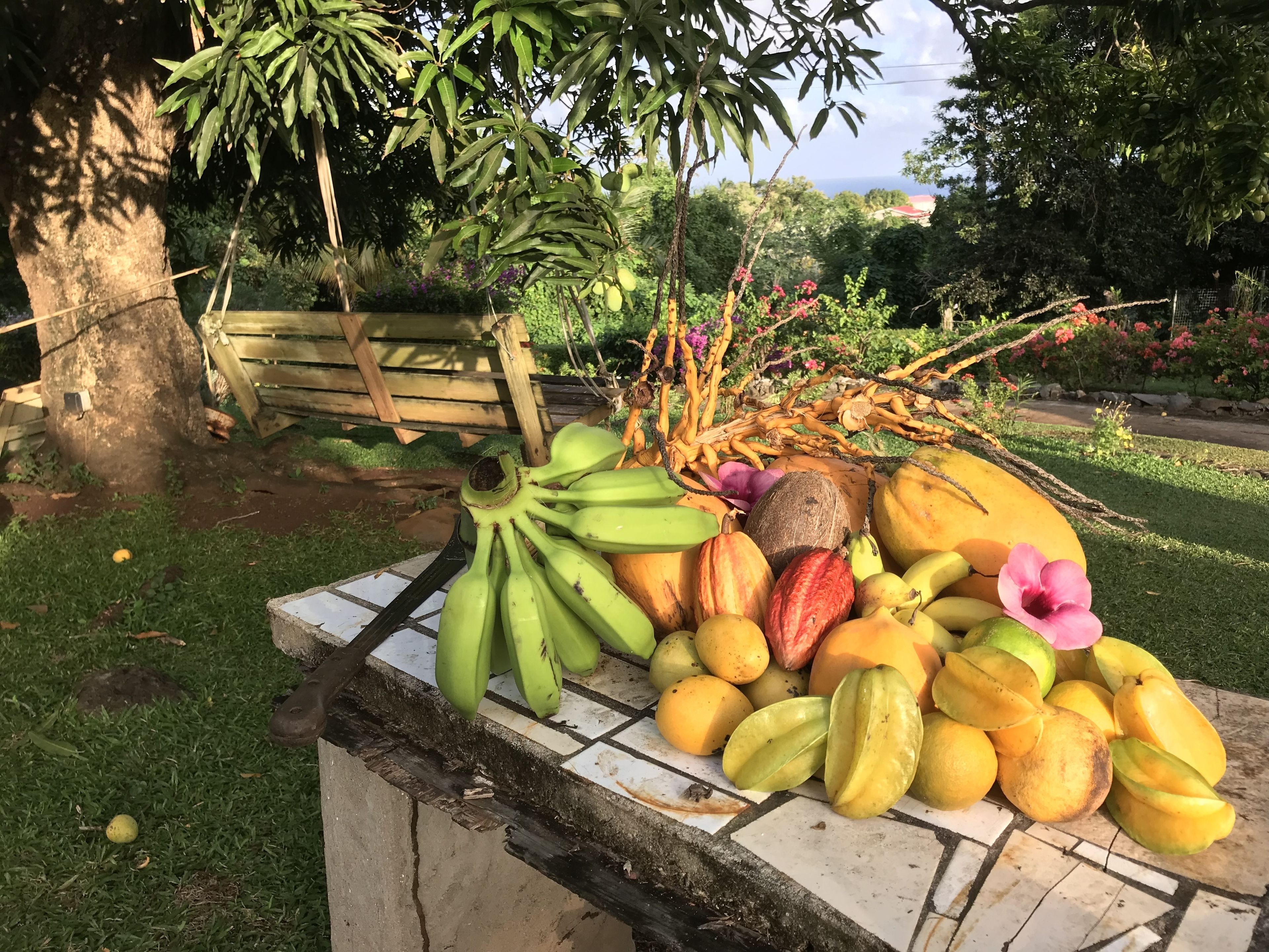 Foto - Big Sky Lodge