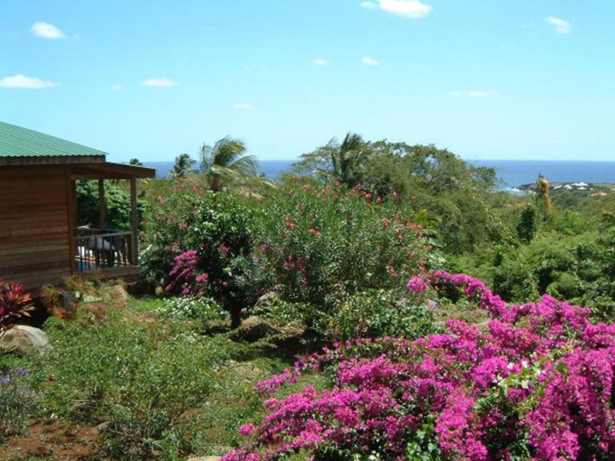 Una cabaña de madera con balcón que da a un jardín exuberante, lleno de flores rosadas vibrantes y vistas al océano.