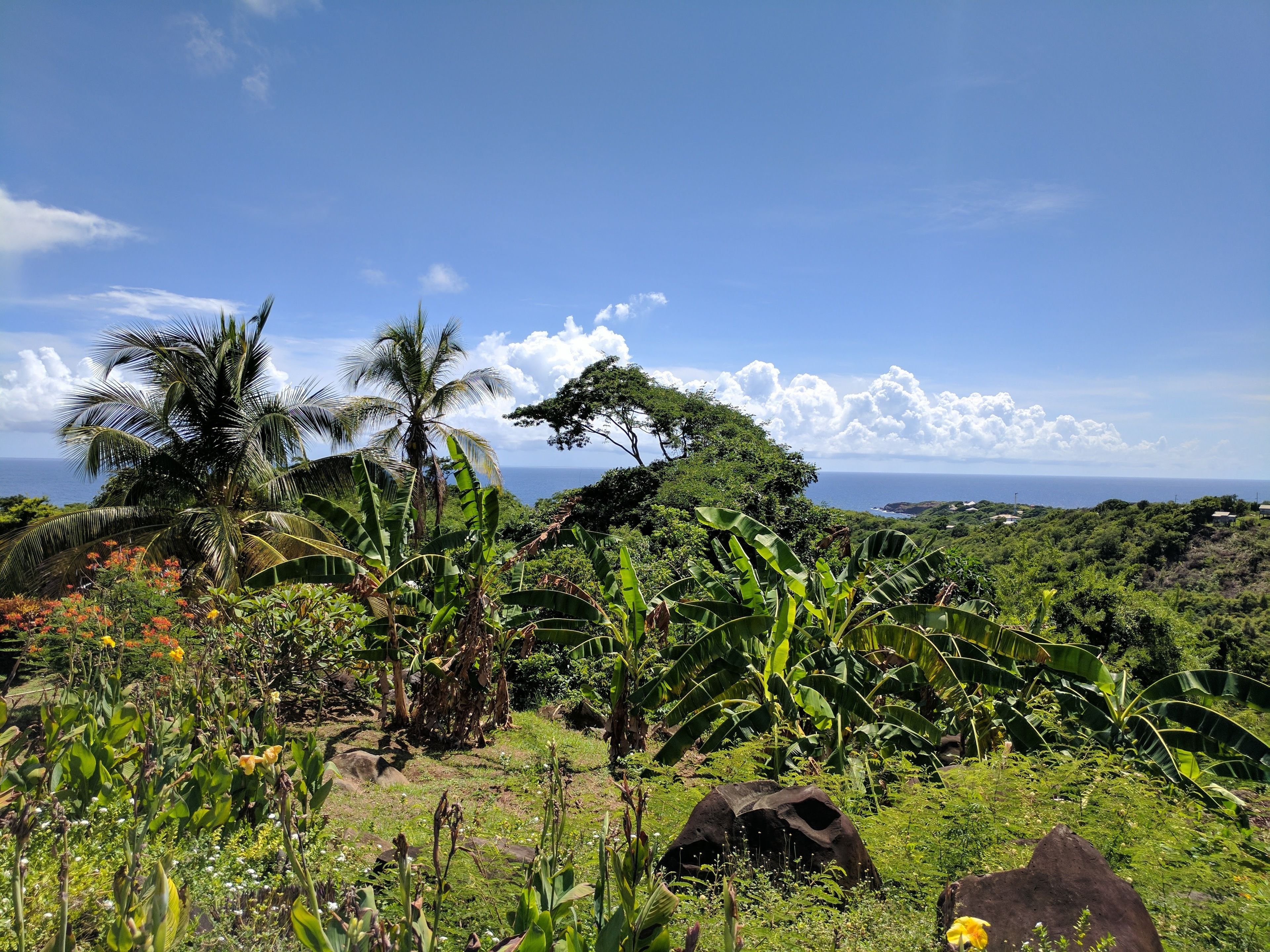 Foto - Big Sky Lodge
