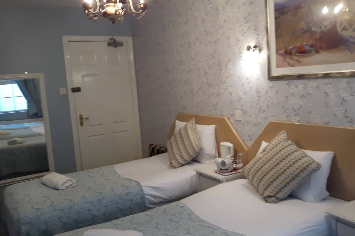 Deluxe driepersoonskamer, 3 eenpersoonsbedden | Luxe beddengoed, een strijkplank/strijkijzer, gratis wifi