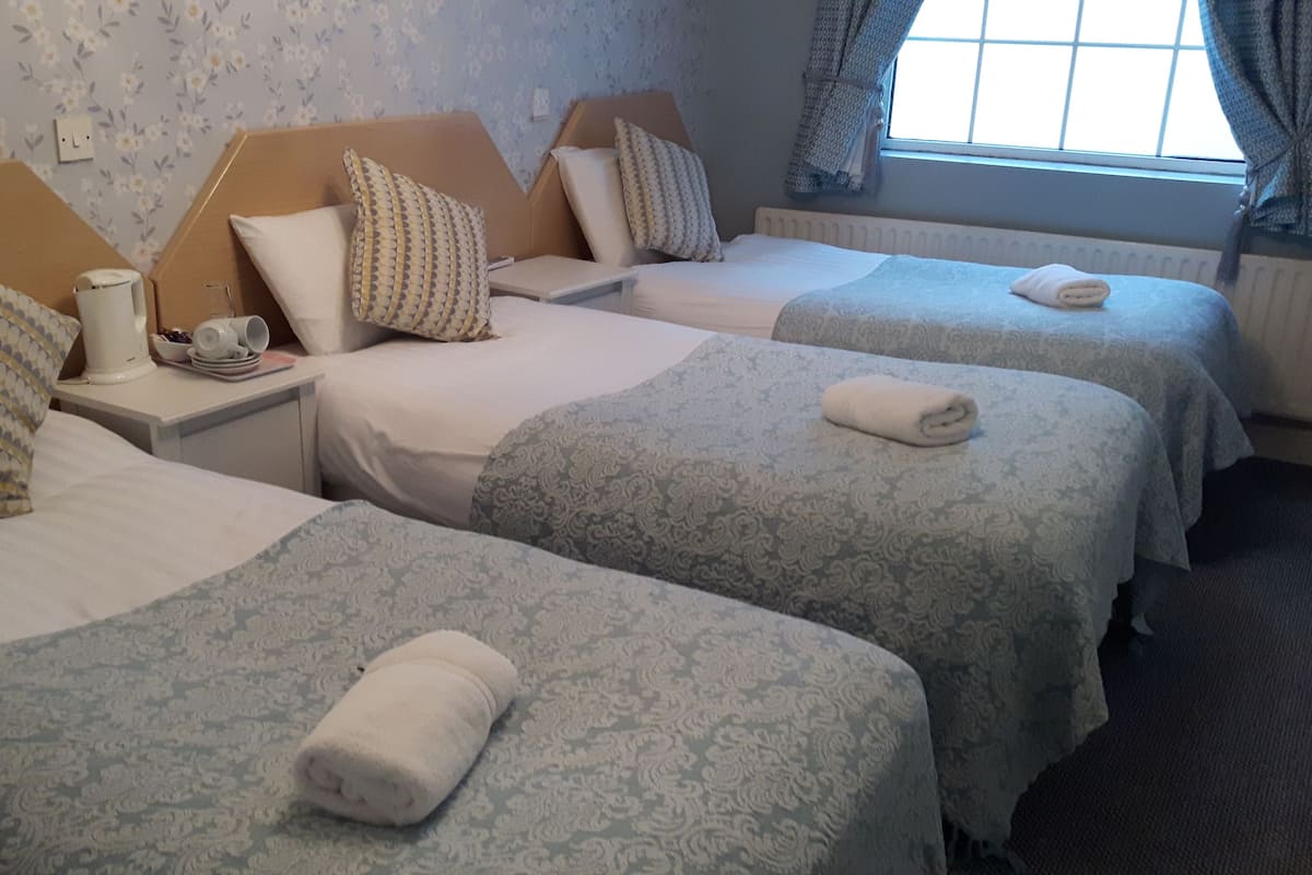 Deluxe Üç Kişilik Oda, 3 Tek Kişilik Yatak | Kaliteli yatak takımı, ütü/ütü masası, ücretsiz kablosuz İnternet