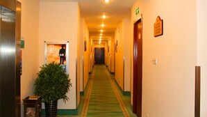 Pasillo de hotel con pisos alfombrados, puertas a ambos lados y una planta en maceta en el centro.