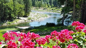 Un río con lecho rocoso, rodeado de vegetación exuberante y árboles.