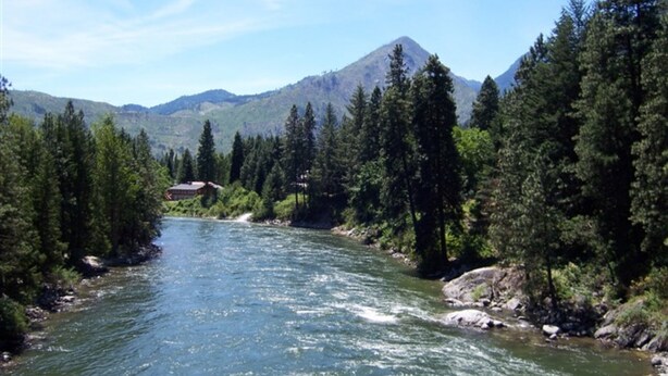 Un río serpenteando por una zona boscosa con montañas al fondo.