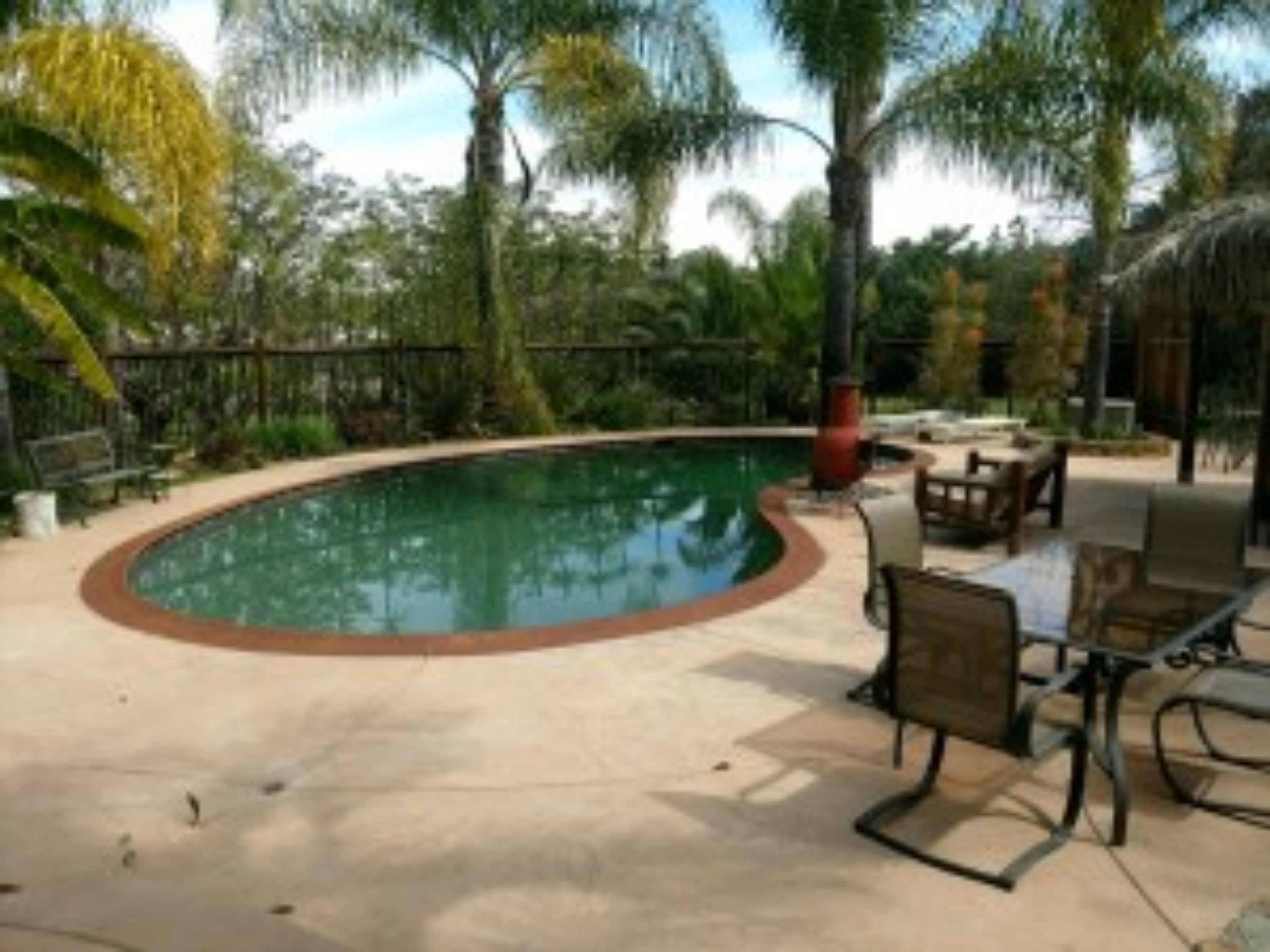 Una piscina curvada con borde rojo, rodeada de palmeras y un patio con mobiliario exterior.