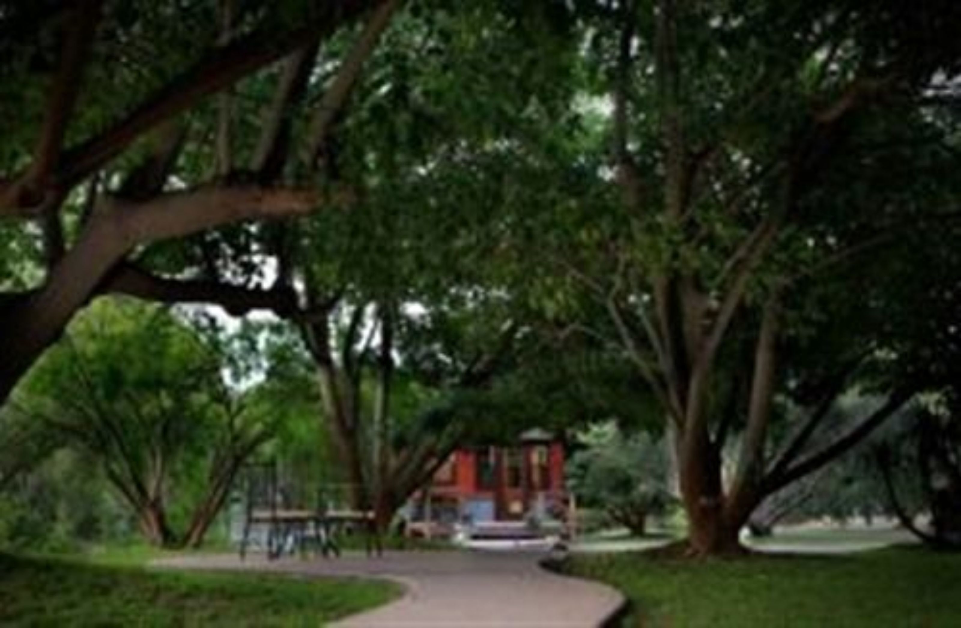 Un camí que condueix a un edifici envoltat d'arbres.