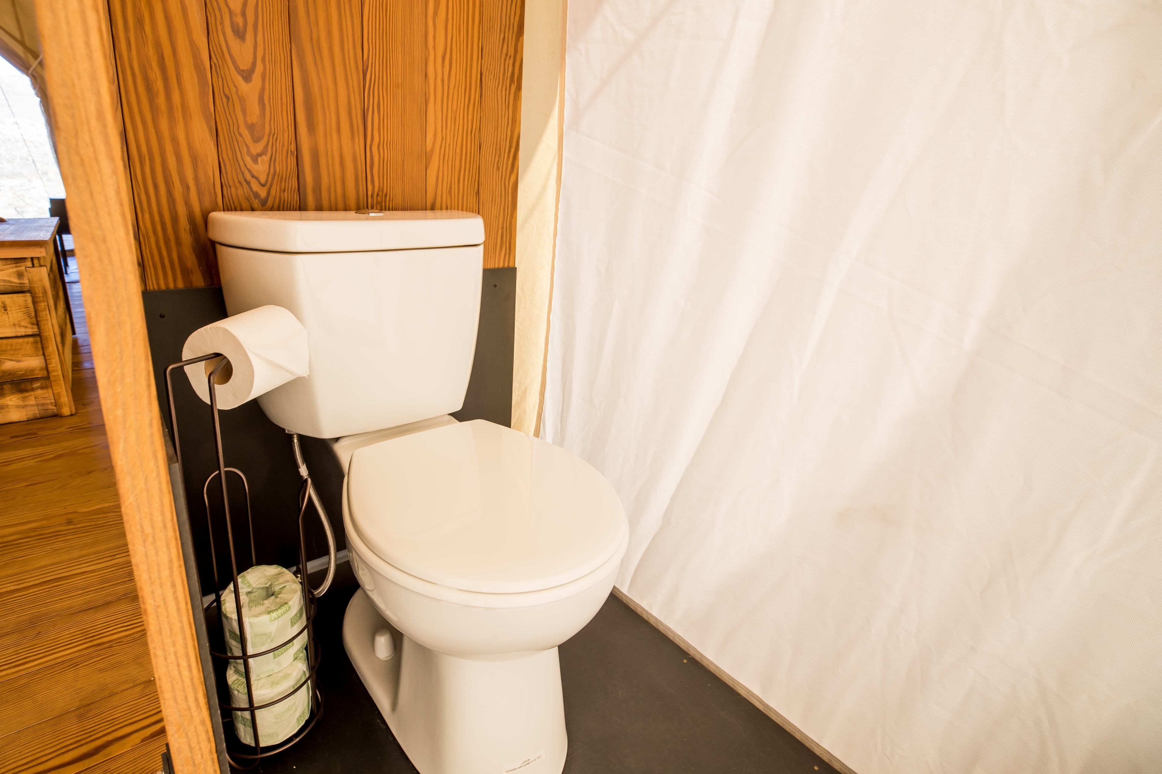 A toilet with a toilet paper holder and a roll of toilet paper.