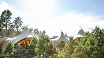 Tents offer a unique, aerodynamic design with large windows for natural light and a focus on functionality and comfort.