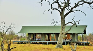 Family Tent, 2 Bedrooms | Property grounds