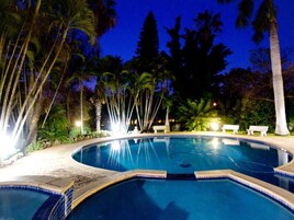 A swimming pool with a curved edge, surrounded by palm trees and benches.