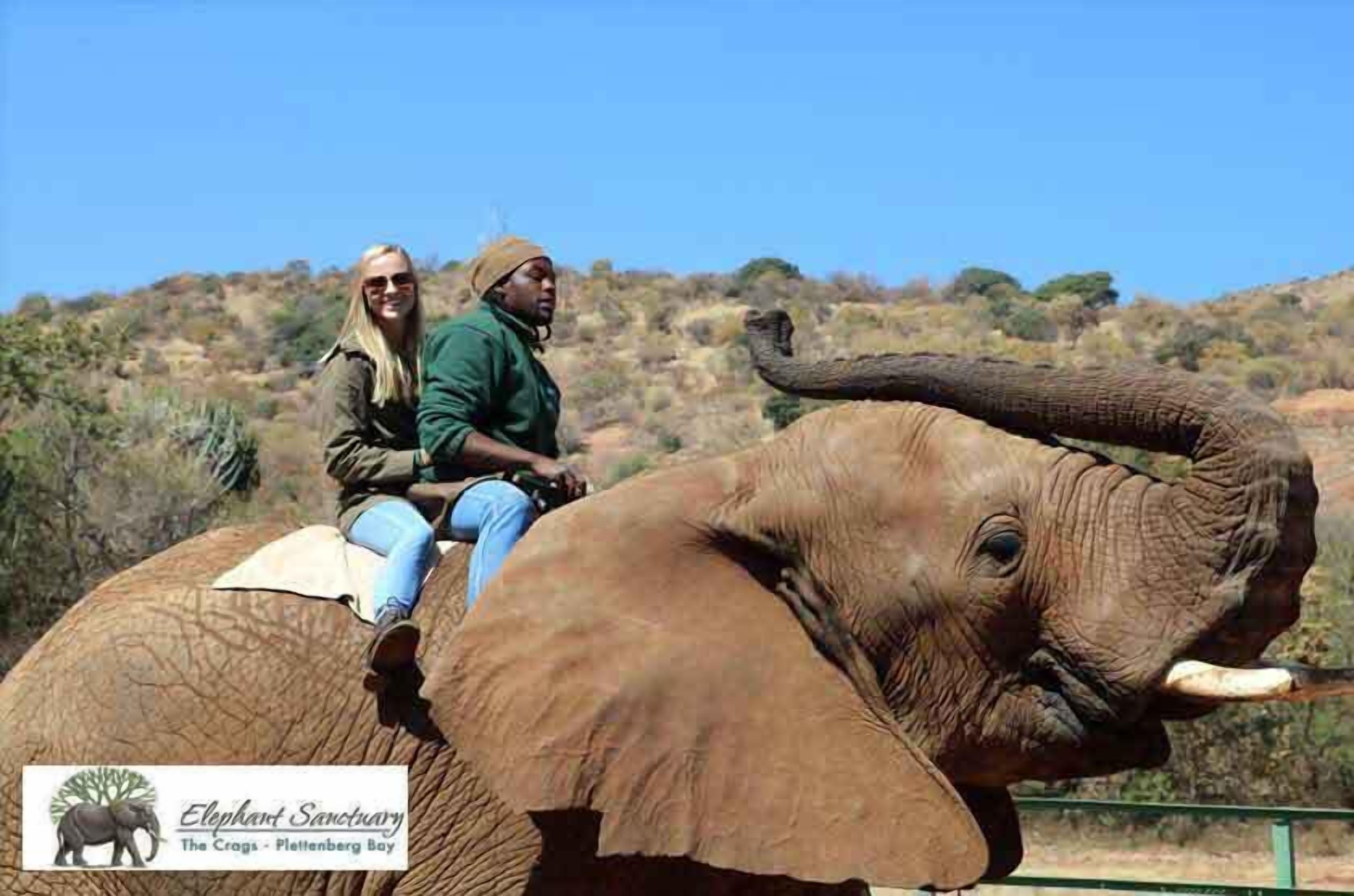 Two people riding an elephant in a natural setting.