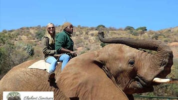 Two people riding an elephant in a natural setting.