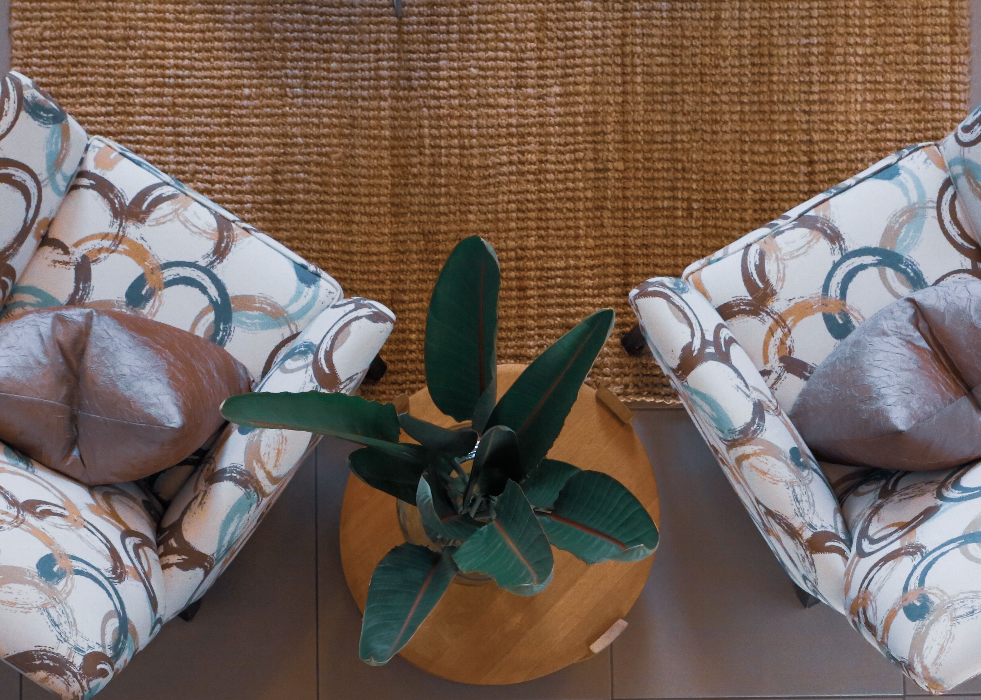 Dos sillones estampados con una mesa de madera en el centro y una planta en maceta.