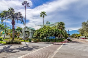 Vue depuis l’hébergement