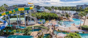 New Hotel Collection Harbourside Resort
