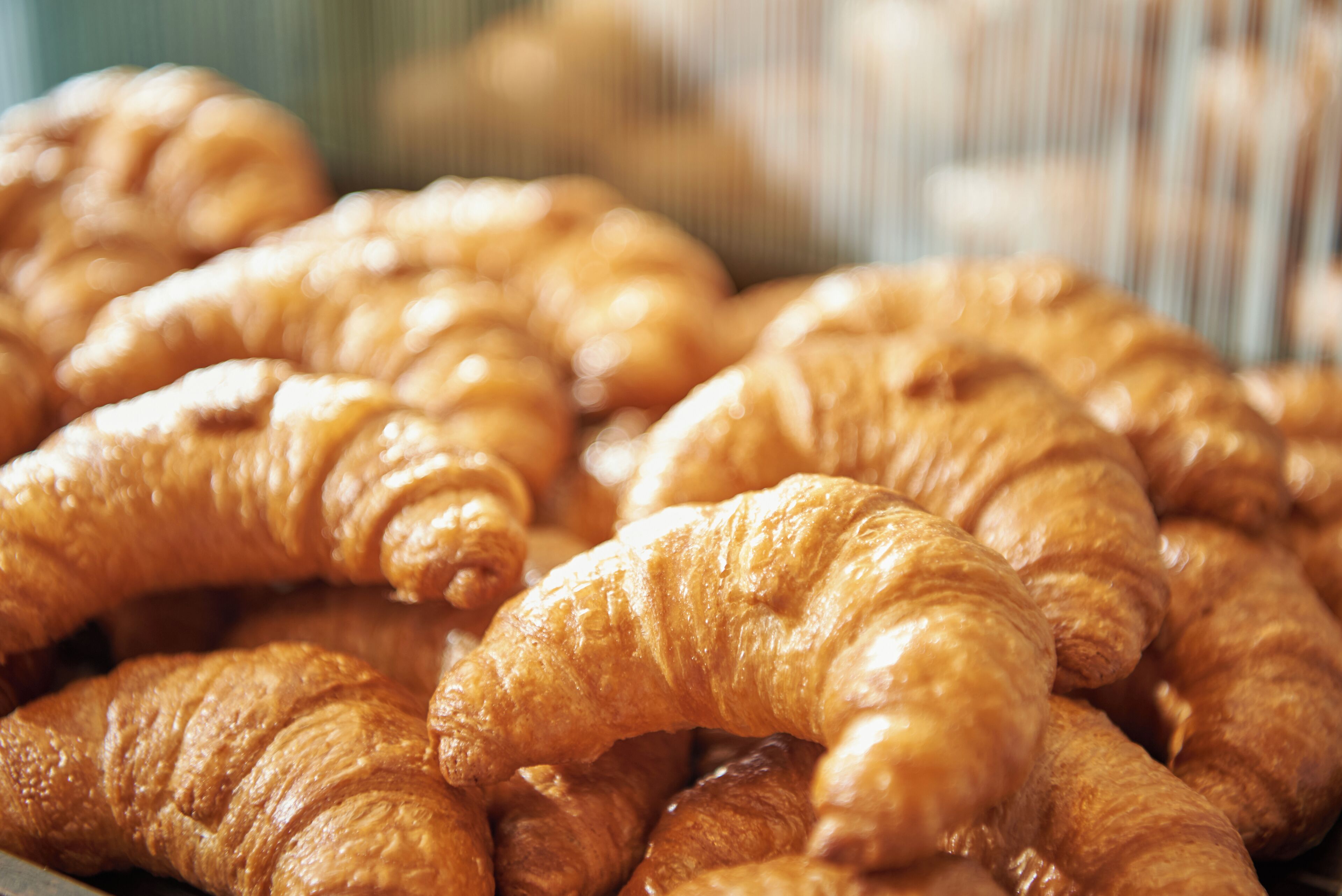 Photo - Keio Presso Inn Tokyo Kudanshita