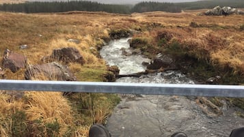 A view from a bridge over a stream with a forest in the background.