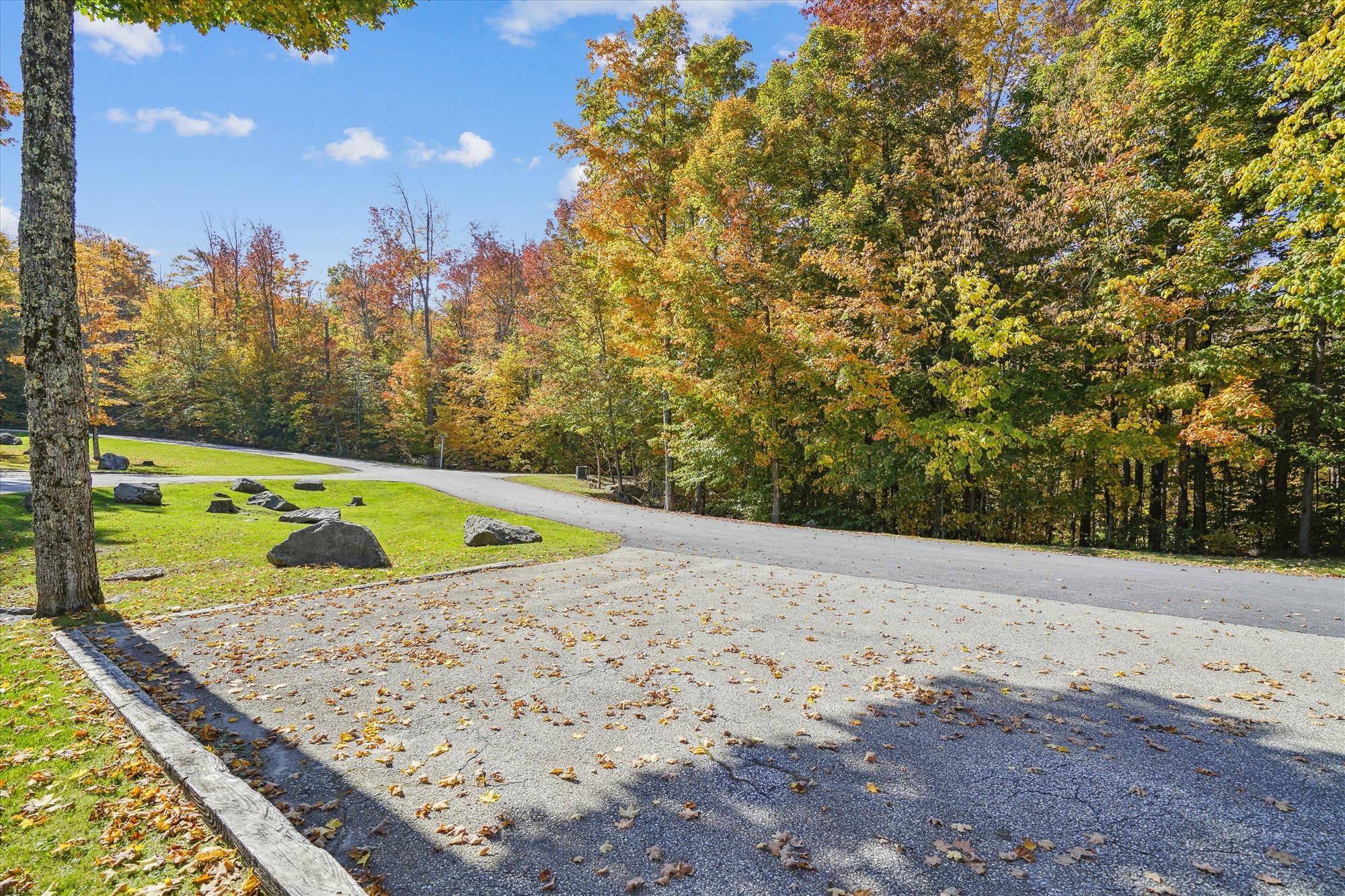 A paved road with a grassy area and trees with autumn foliage.