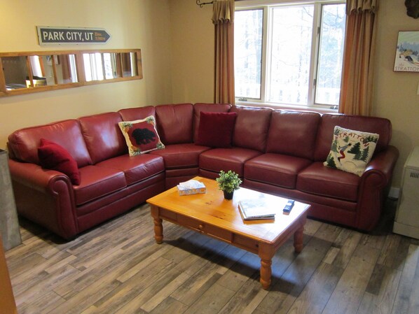 TV, fireplace, DVD player