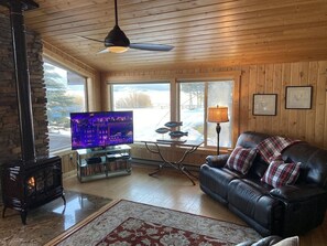 Smart TV, caminetto, lettore DVD, videoteca