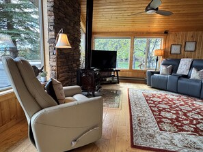 Smart TV, fireplace, DVD player, video library