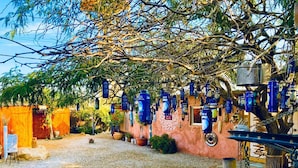 A courtyard with a gravel ground, a tree with hanging blue canisters, and a rustic building with a pink wall.