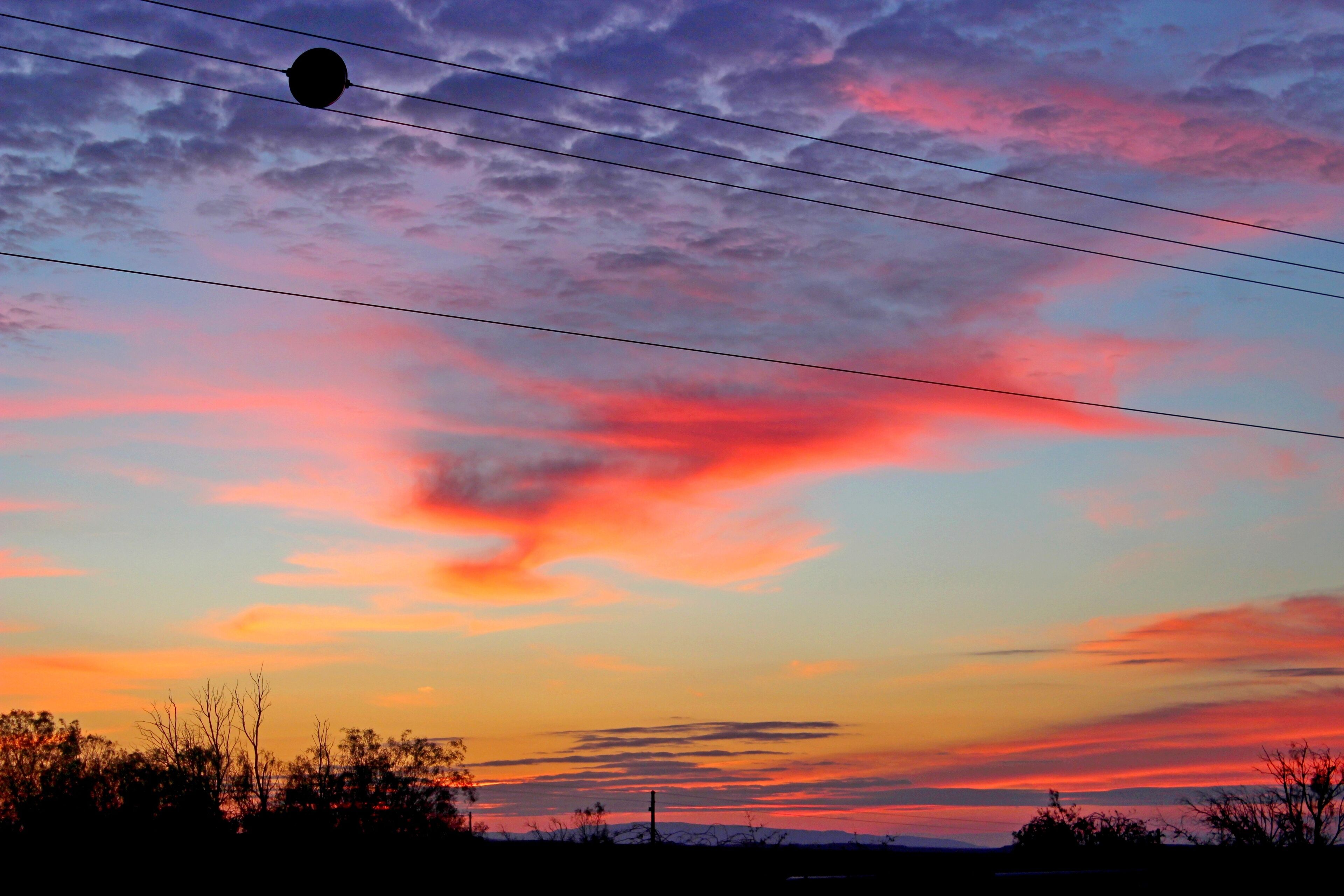 A sunset with a colorful sky and silhouettes of trees and power lines.