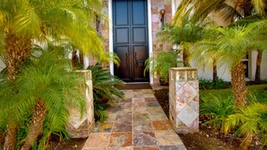 A stone pathway leading to a dark door, flanked by palm trees and potted plants.
