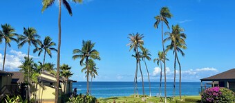 Oceanfront Escape - Beautiful Wailea Elua Ground-Floor Condo #1401