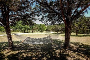 Terrain de l’hébergement 