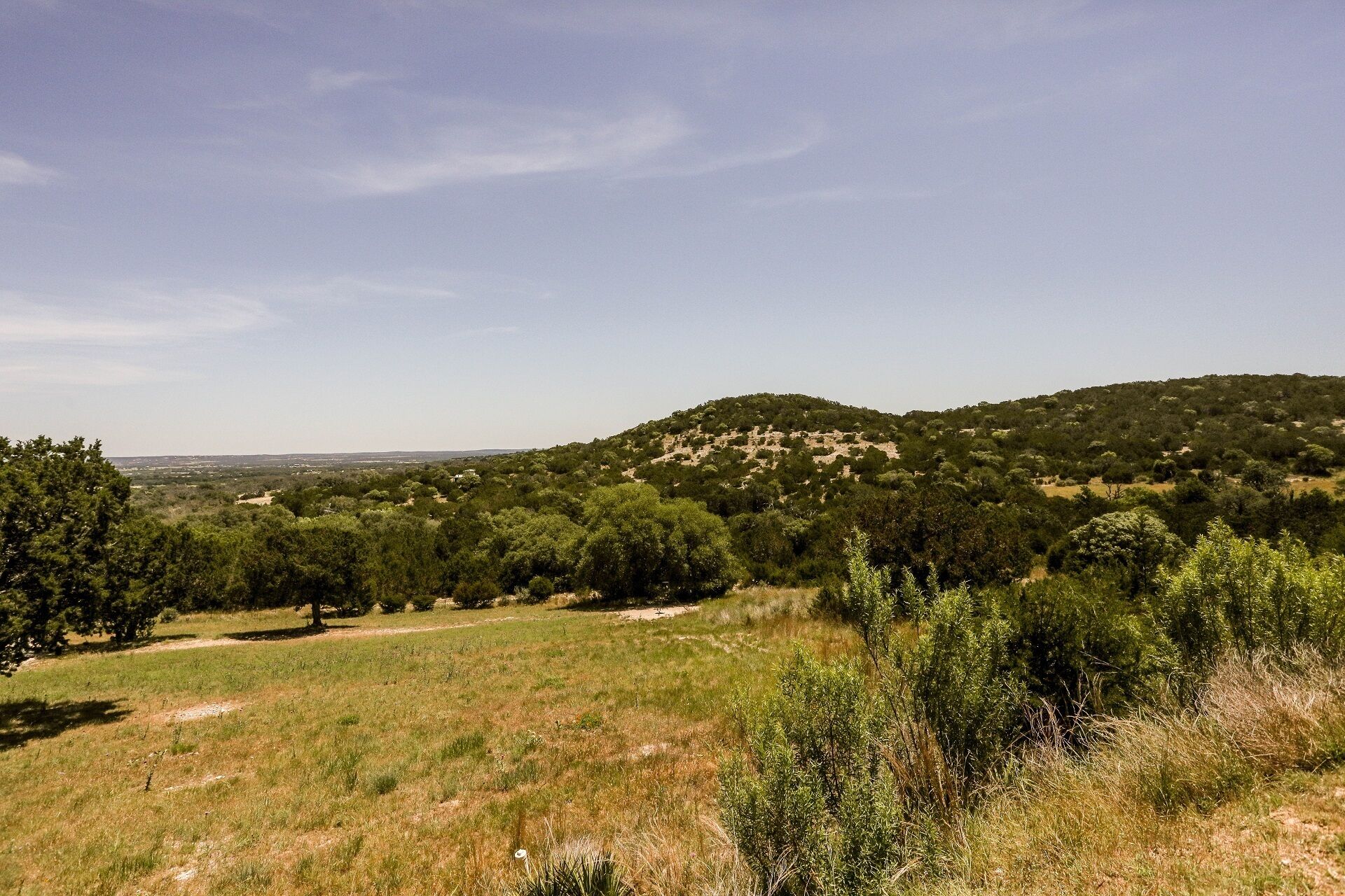 Un paisaje natural con una colina, árboles y cielo despejado.