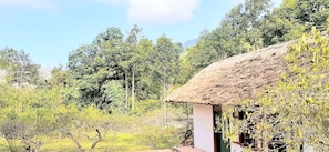 Ekowisata