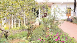 Un jardín con diversas plantas y flores, un sendero y un edificio al fondo.