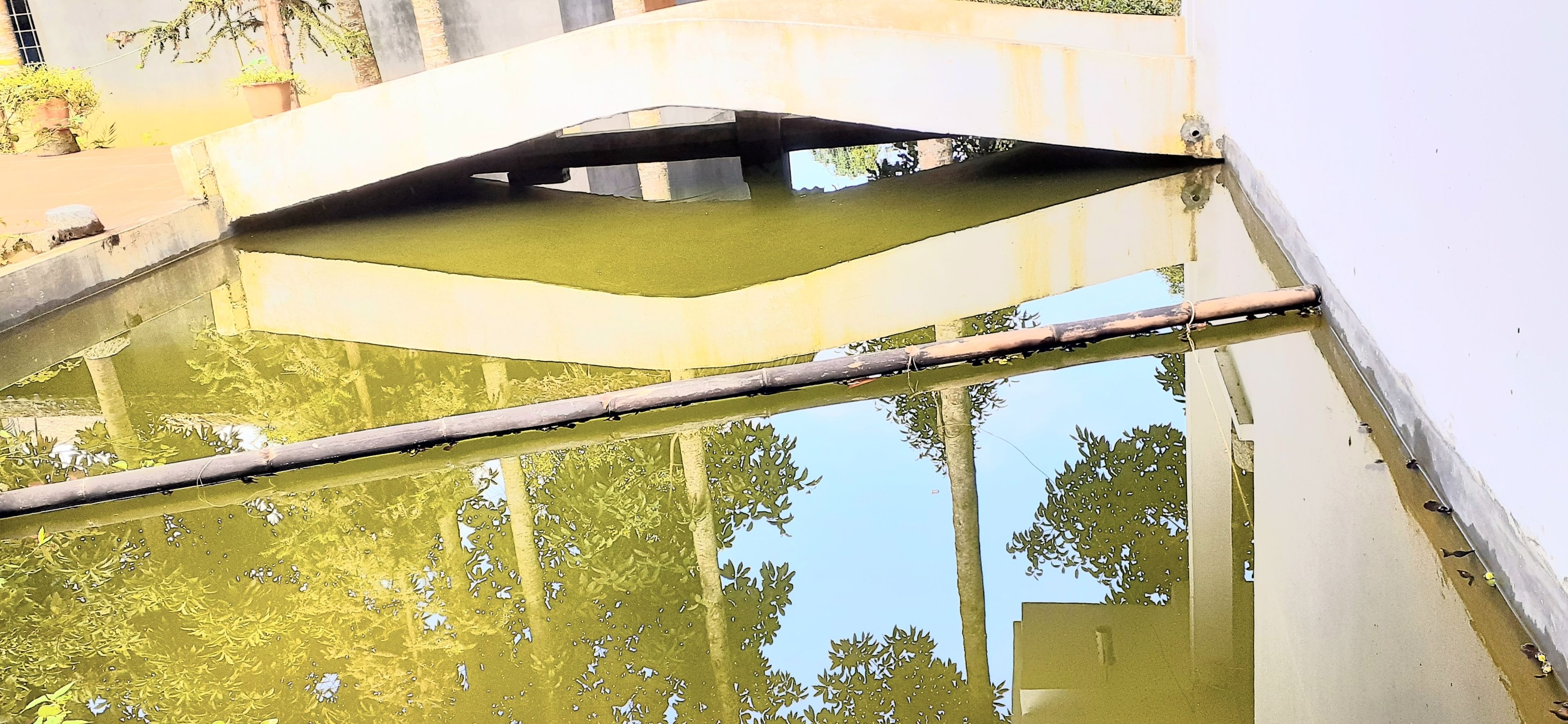 A water feature with a concrete structure and a metal pipe.