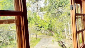 Una ventana con marco de madera que ofrece vistas a un sendero de piedra que atraviesa un jardín exuberante.